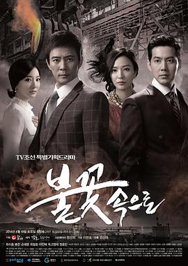 鱼峰区热门seo优化